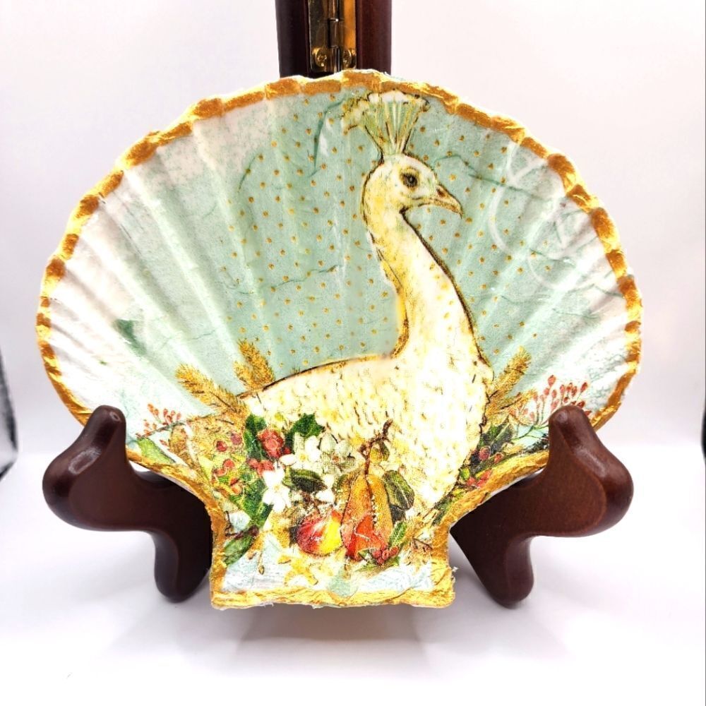 SCALLOPED FAN SHELL